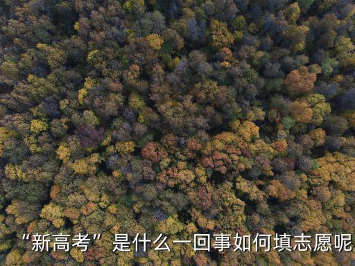 湖北新高考志愿表是怎么樣的呢,如何填志愿呢