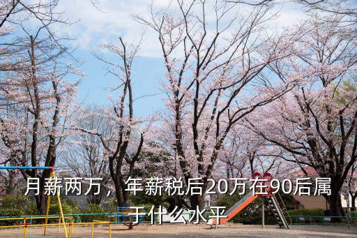 在鄭州稅后20萬稅前是多少,稅后工資為多少
