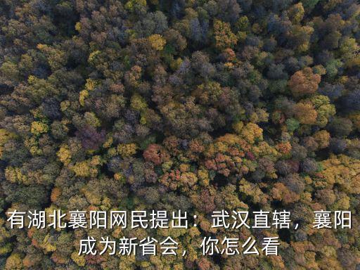 如果武漢直轄了湖北怎么辦,如果武漢直轄了
