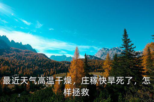 鄭州的天氣干燥怎么辦,最近天氣高溫干燥