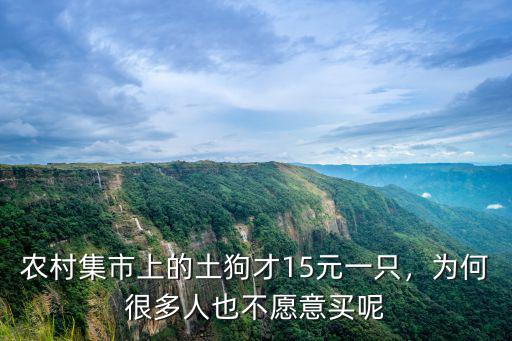 農村集市上的土狗才15元一只，為何很多人也不愿意買呢