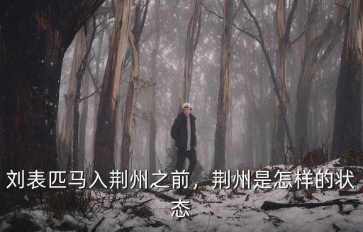 劉表怎么取荊州的,劉表匹馬入荊州之前