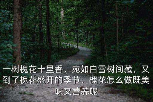 一樹槐花十里香，宛如白雪樹間藏，又到了槐花盛開的季節，槐花怎么做既美味又營養呢