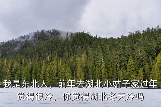 湖北冬天那么冷怎么過,你覺得湖北冬天冷嗎