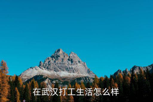 在武漢打工生活怎么樣