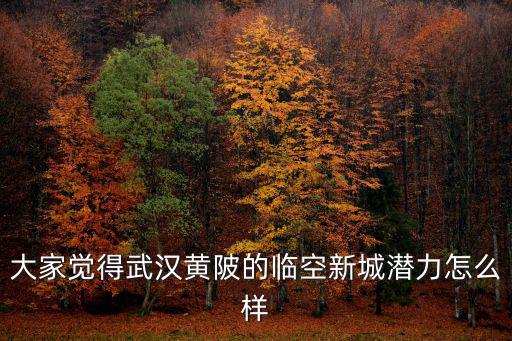 武漢黃陂規劃怎么樣,武漢黃陂區的發展趨勢怎么樣