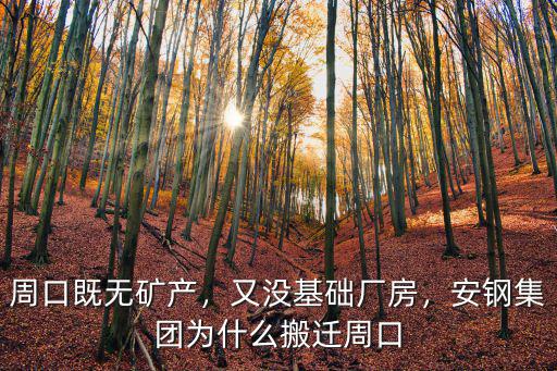 周口智晟集團(tuán)怎么樣,實(shí)地集團(tuán)周口項(xiàng)目怎么樣
