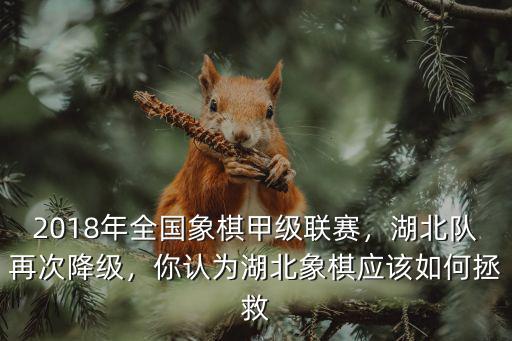 湖北象棋隊已降級怎么辦,你認為湖北象棋應該如何拯救