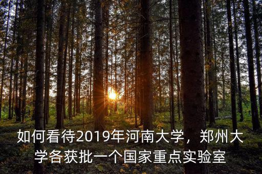 如何看待2019年河南大學，鄭州大學各獲批一個國家重點實驗室