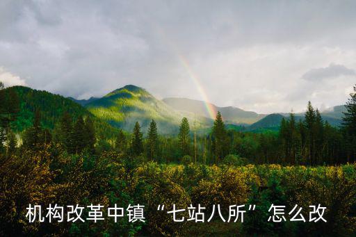 湖北省機(jī)構(gòu)改革鄉(xiāng)鎮(zhèn)紀(jì)委怎么改,機(jī)構(gòu)改革中鎮(zhèn)七站八所怎么改