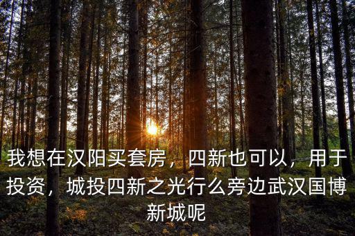 武漢城投四新之光房子質量怎么樣,城投四新之光行么