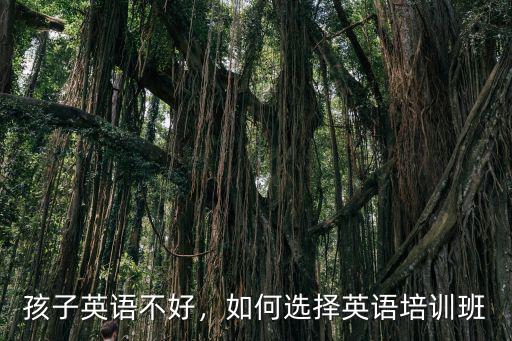 宜昌幼兒英語班怎么學好英語,孩子報幼兒英語班能學好嗎