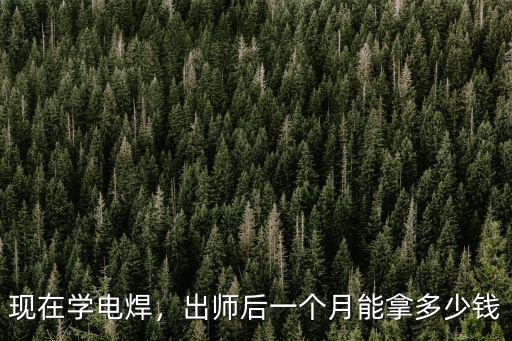衡水電焊工資多少錢一天,你們認為焊工工資多少