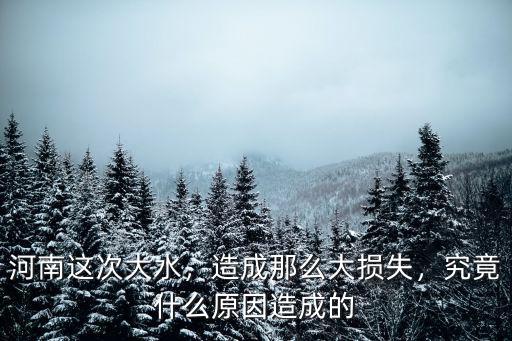 河南這次大水，造成那么大損失，究竟什么原因造成的