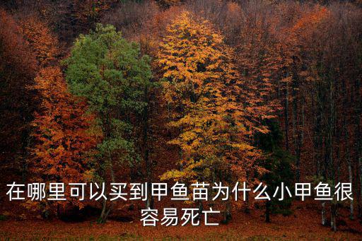 在哪里可以買到甲魚苗為什么小甲魚很容易死亡