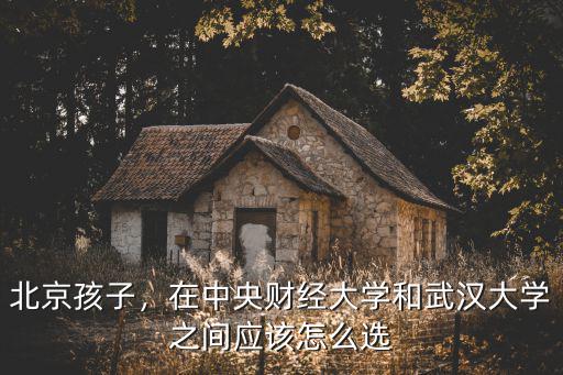 北京孩子，在中央財(cái)經(jīng)大學(xué)和武漢大學(xué)之間應(yīng)該怎么選