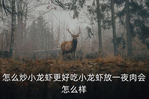 怎么炒小龍蝦更好吃小龍蝦放一夜肉會怎么樣