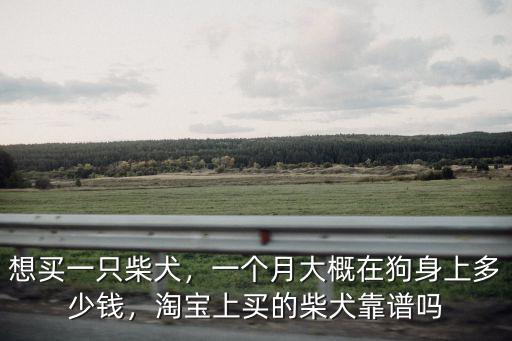 保定市柴犬多少錢一只,想買一只柴犬