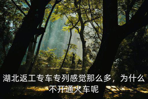 湖北返工專車專列感覺那么多，為什么不開通火車呢