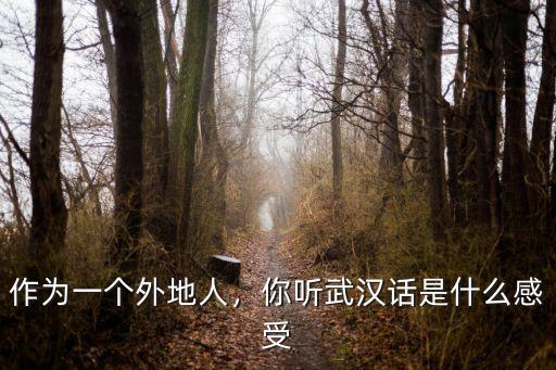 作為一個外地人，你聽武漢話是什么感受