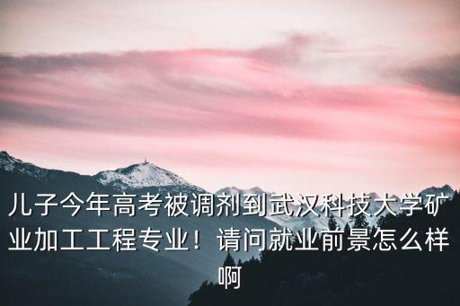 武漢科技大學物流專業就業怎么樣,請問就業前景怎么樣啊
