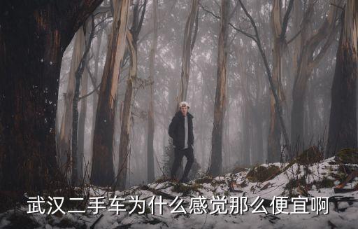 武漢二手車為什么感覺那么便宜啊