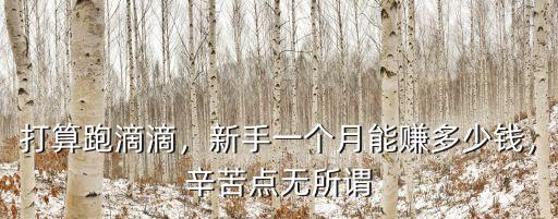 邢臺(tái)市跑滴滴一個(gè)月能收入多少,一個(gè)月能掙多少錢(qián)