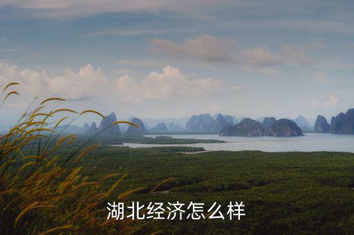 天門在湖北經濟怎么樣,湖北經濟怎么樣