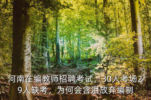 河南在編教師招聘考試，30人考場29人缺考，為何會含淚放棄編制