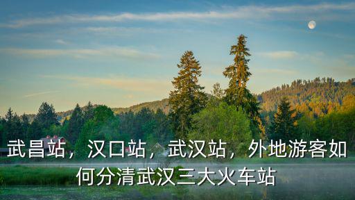 武漢的火車站怎么不叫武漢站,武漢站三個(gè)地方火車站