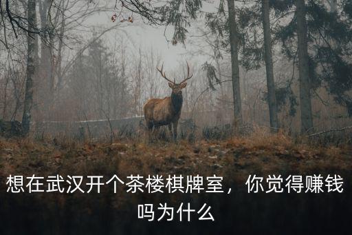 想在武漢開個(gè)茶樓棋牌室，你覺得賺錢嗎為什么