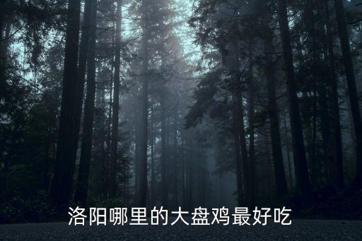洛陽哪里有賣正宗干炸雞,洛陽有哪些賣大盤雞的店