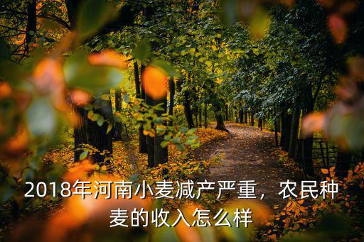2018年河南小麥減產嚴重，農民種麥的收入怎么樣