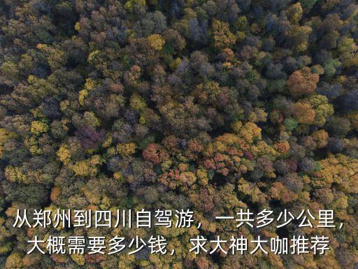 鄭州到新蔡開車要多少錢,大概需要多少錢