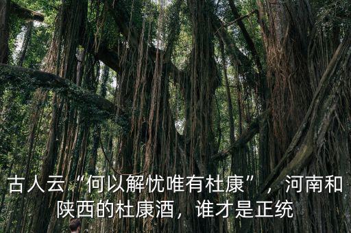 杜康酒是河南哪里人,河南和陜西的杜康酒