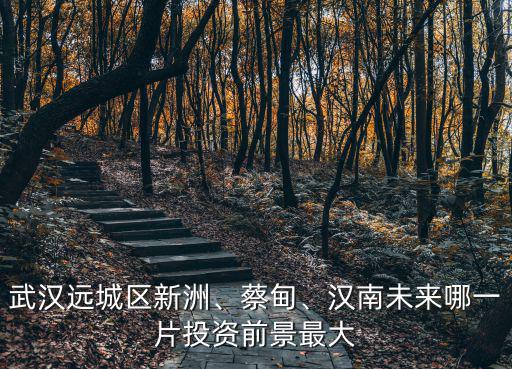 武漢武湖的房子投資前景怎么樣,武漢的城市規(guī)劃是怎么樣的
