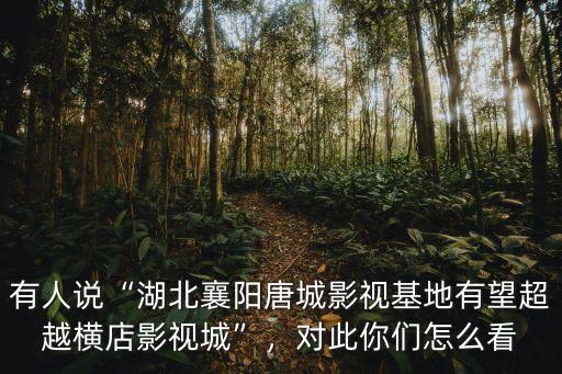 襄陽唐城附近停車場怎么收費,襄陽劉集機場停車場怎樣收費