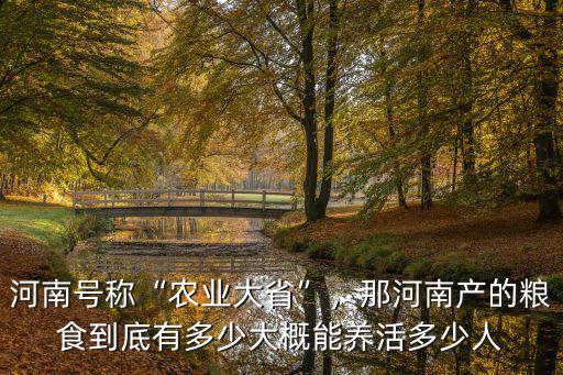 河南號(hào)稱“農(nóng)業(yè)大省”，那河南產(chǎn)的糧食到底有多少大概能養(yǎng)活多少人