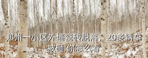 鄭州一小區外墻瓷磚脫落，20多輛車被砸,你怎么看