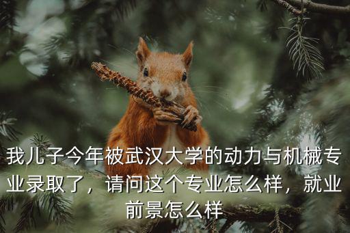 武漢大學-動力與機械學院怎么樣,武漢大學機械專業(yè)怎么樣