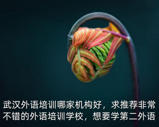 武漢外語培訓哪家機構好，求推薦非常不錯的外語培訓學校，想要學第二外語