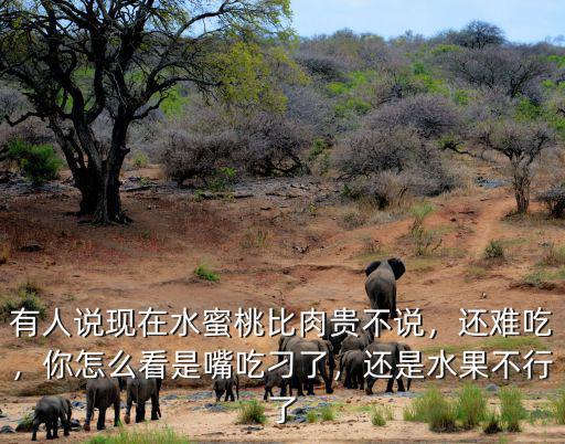湖北水蜜桃現在怎么樣了,今年水蜜桃賣的怎么樣