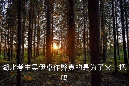 湖北考生吳伊卓作弊真的是為了火一把嗎
