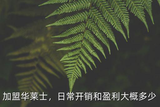 加盟華萊士，日常開銷和盈利大概多少