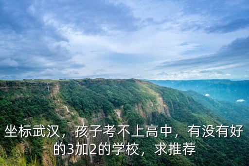 坐標武漢，孩子考不上高中，有沒有好的3加2的學校，求推薦