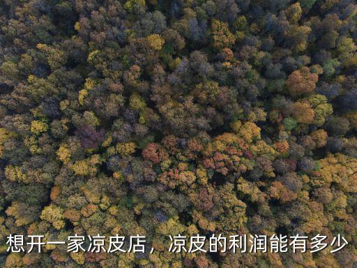 想開一家涼皮店，涼皮的利潤能有多少