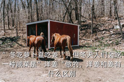 ”冬吃蘿卜夏吃姜“，但冬天人們會(huì)吃一種咸菜是”洋姜“做的，洋姜和姜有什么區(qū)別