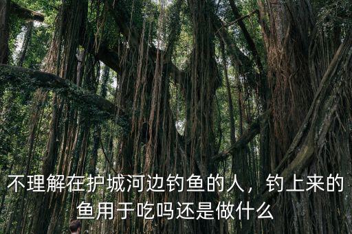 不理解在護城河邊釣魚的人，釣上來的魚用于吃嗎還是做什么