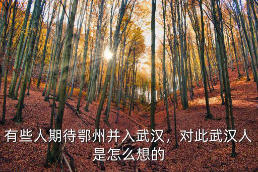 有些人期待鄂州并入武漢，對(duì)此武漢人是怎么想的