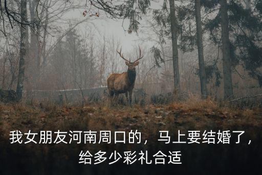 河南周口商水平店結(jié)婚彩禮多少,周口這邊彩禮多少